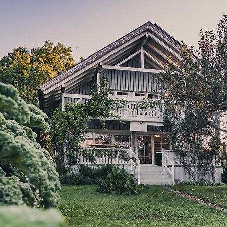 Gardenia-Altach, 2-4 P, Kueche, Garten, Terrasse, Parkplatz, Wifi, Ski Stellplatz Exteriér fotografie